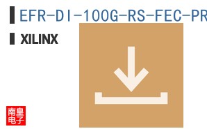 EFR-DI-100G-RS-FEC-PROJ
