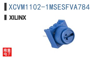 XCVM1102-1MSESFVA784