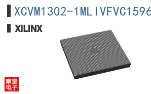 XCVM1302-1MLIVFVC1596