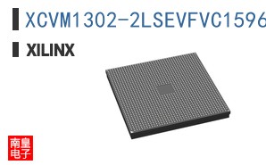 XCVM1302-2LSEVFVC1596