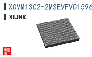 XCVM1302-2MSEVFVC1596