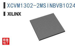XCVM1302-2MSINBVB1024
