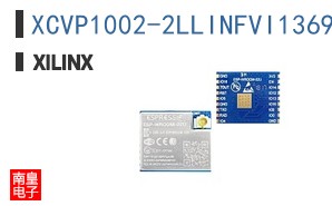 XCVP1002-2LLINFVI1369